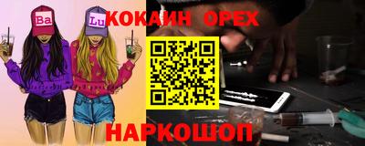 a pvp Камышлов
