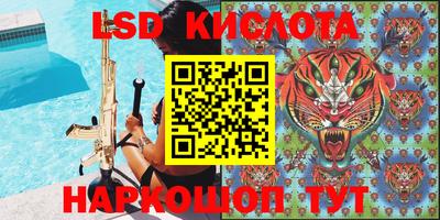 a pvp Камышлов
