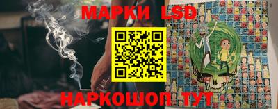 a pvp Камышлов