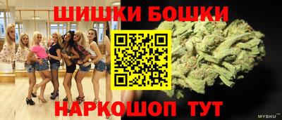 a pvp Камышлов