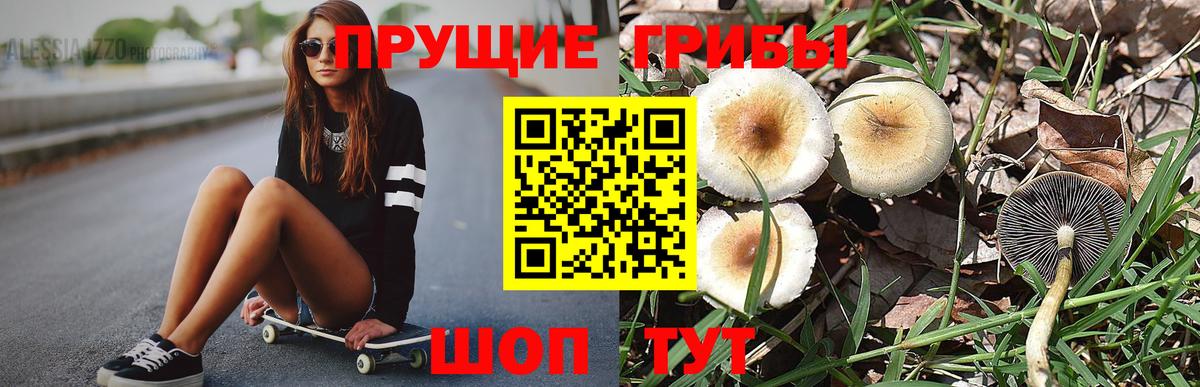 Галлюциногенные грибы ЛСД Дмитров