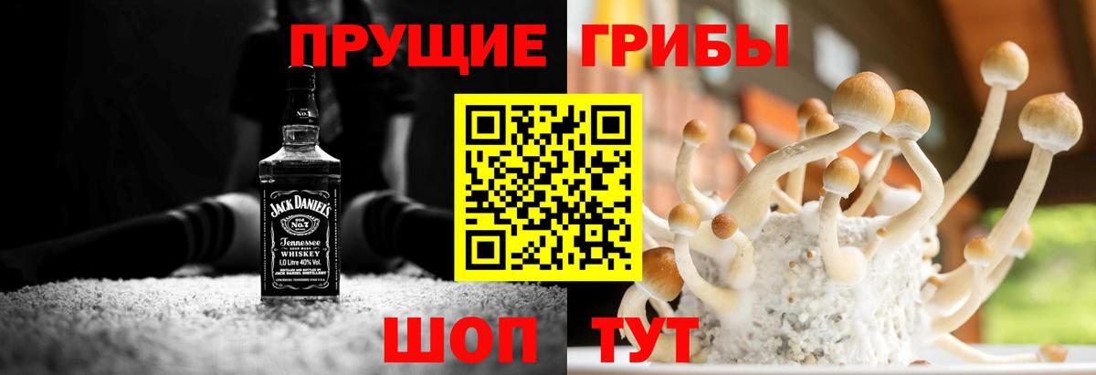 Галлюциногенные грибы Cubensis  Галлюциногенные грибы Psilocybine cubensis  Дмитров  Вход с VPN 